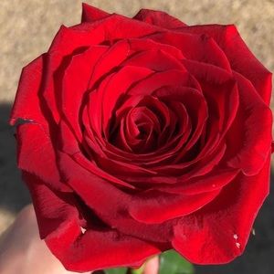 ‼️ BUNDLE 3+ ITEMS AND GET A SPECIAL DISCOUNT ‼️